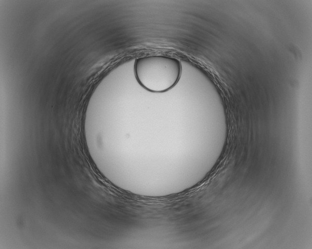 X0000111491110200907141057
