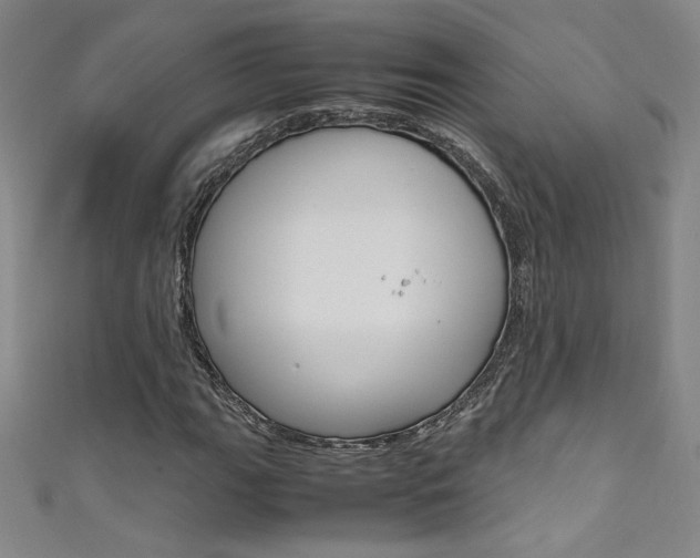X0000111491111200907141057