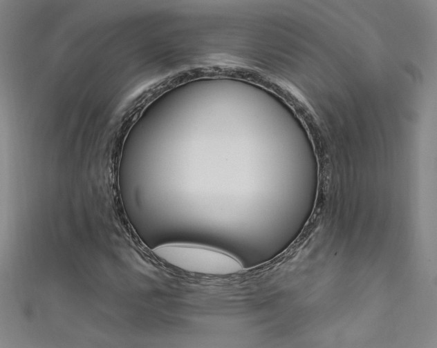 X0000111491112200907141057