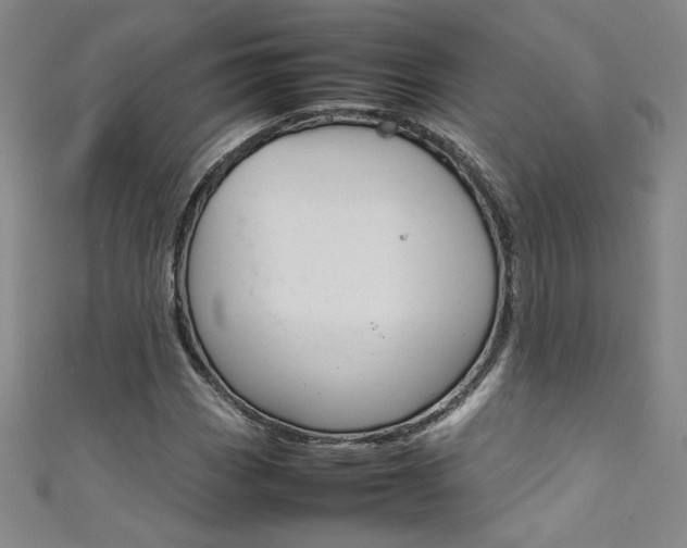 X0000111491113200907141057