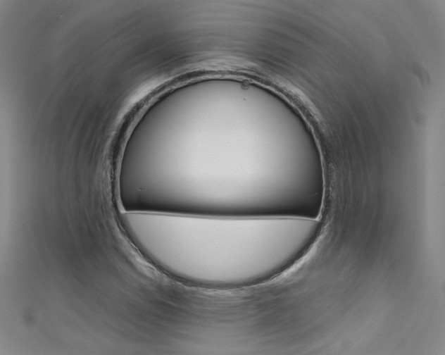 X0000111491114200907141057