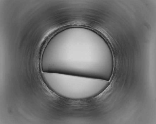 X0000111491115200907141057