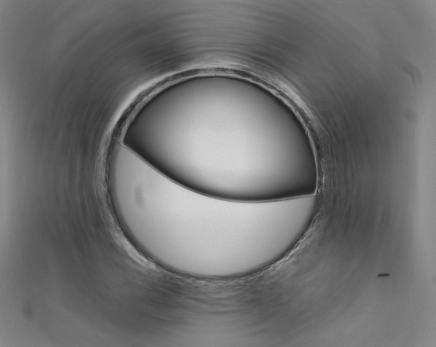 X0000111491116200907141057