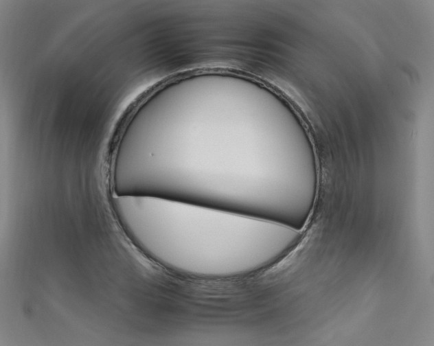 X0000111491119200907141057