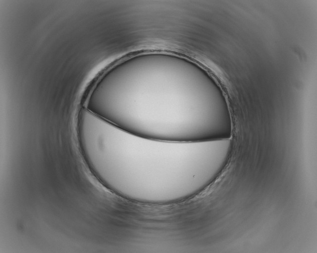 X0000111491120200907141057