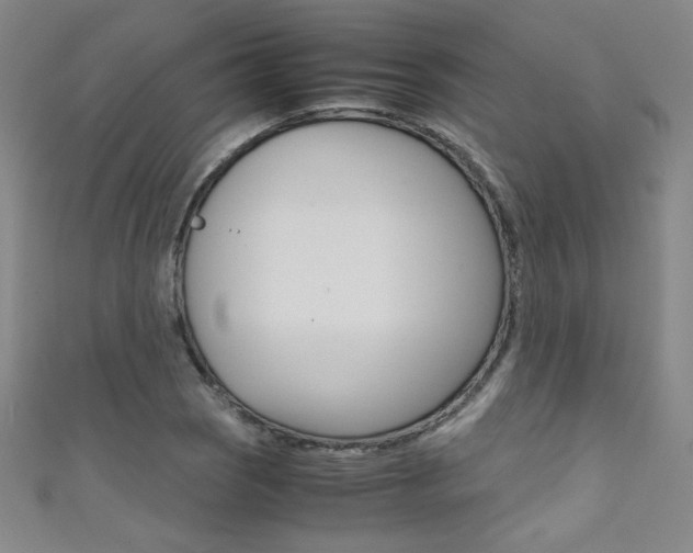 X0000111491121200907141058