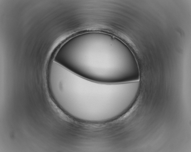 X0000111491122200907141058