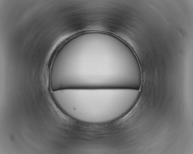 X0000111491123200907141058