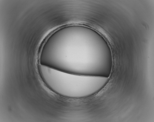 X0000111491124200907141058