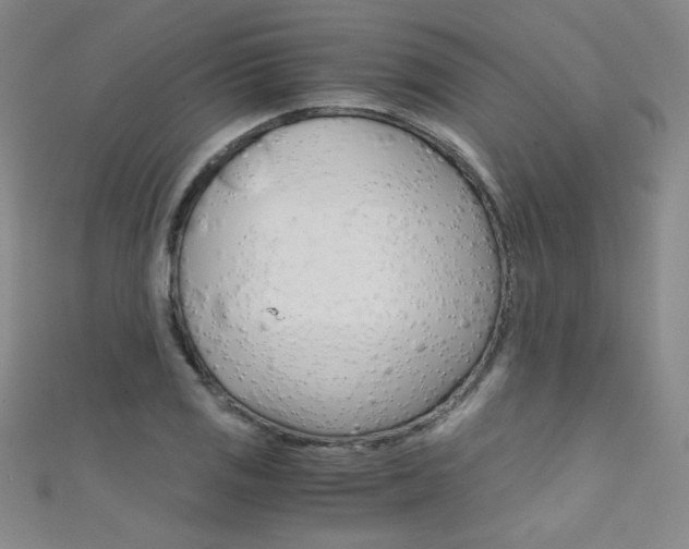 X0000111491125200907141058