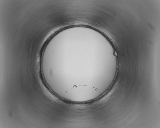 X0000111491126200907141058