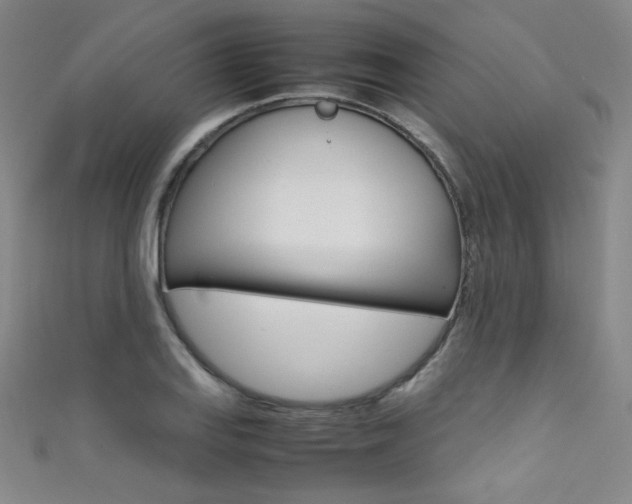 X0000111491127200907141058