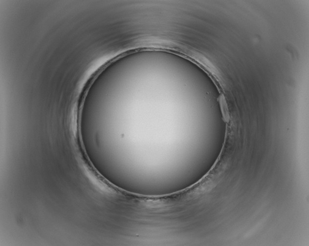 X0000111491128200907141058