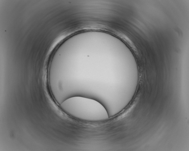 X0000111491130200907141058
