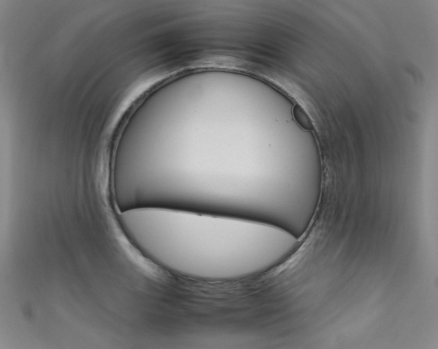 X0000111491131200907141058