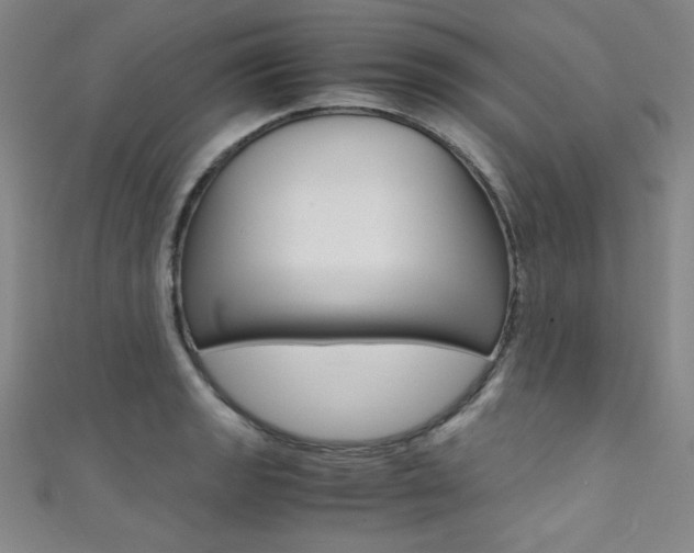 X0000111491133200907141058