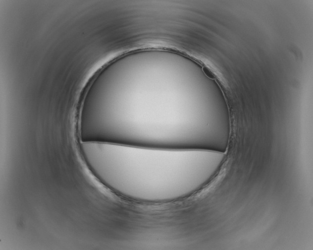 X0000111491134200907141058