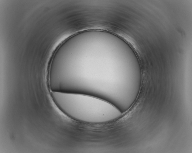 X0000111491135200907141058