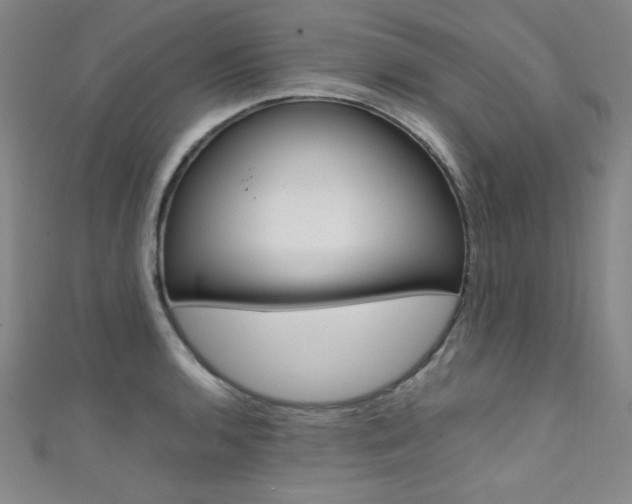 X0000111491136200907141058