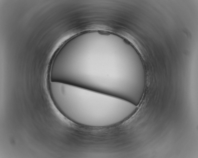 X0000111491139200907141058