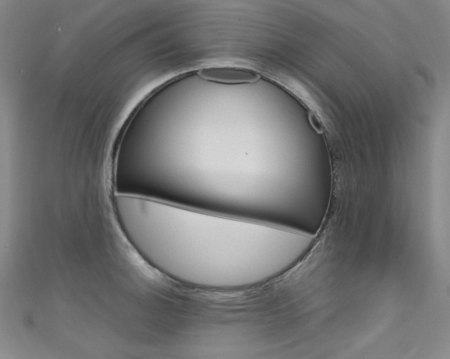 X0000111491140200907141058