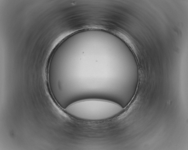 X0000111491141200907141058