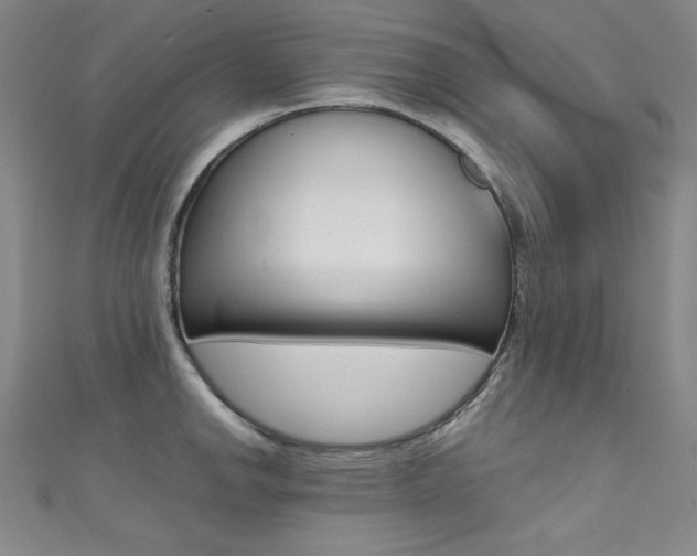X0000111491142200907141058