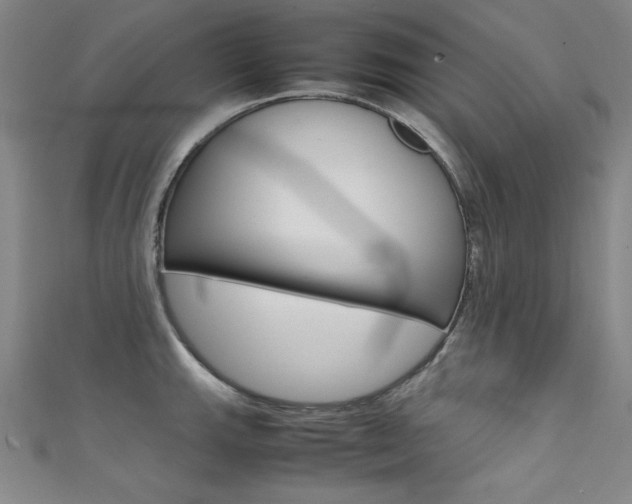 X0000111491143200907141058