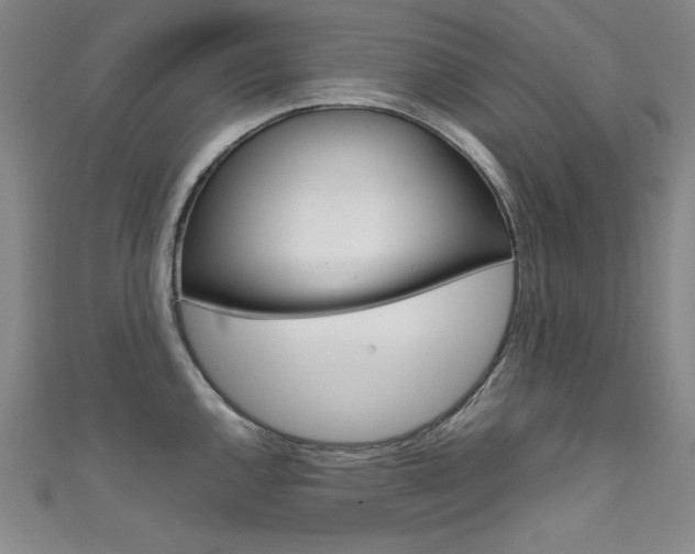 X0000111491144200907141058