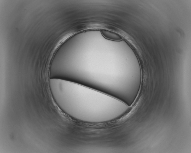X0000111491145200907141058