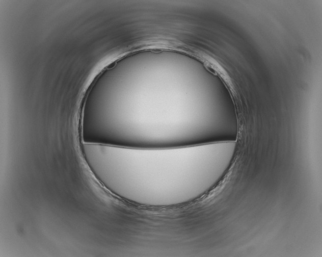 X0000111491146200907141058