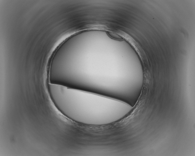 X0000111491147200907141058