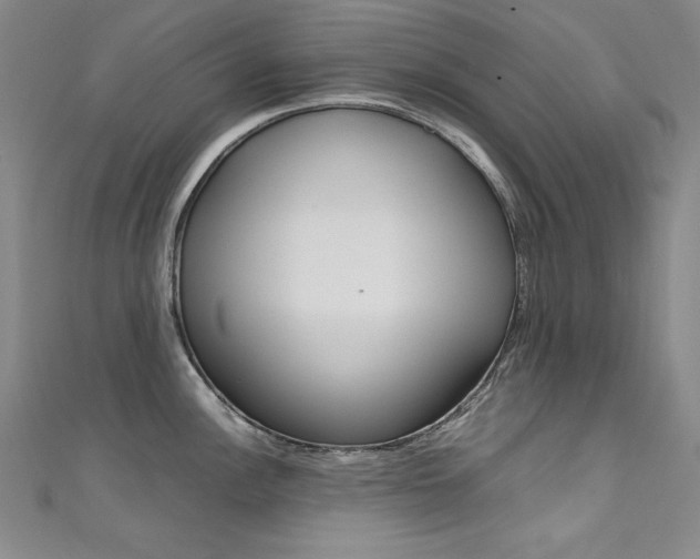 X0000111491148200907141058