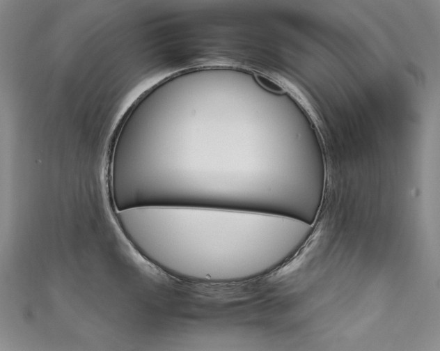 X0000111491149200907141058