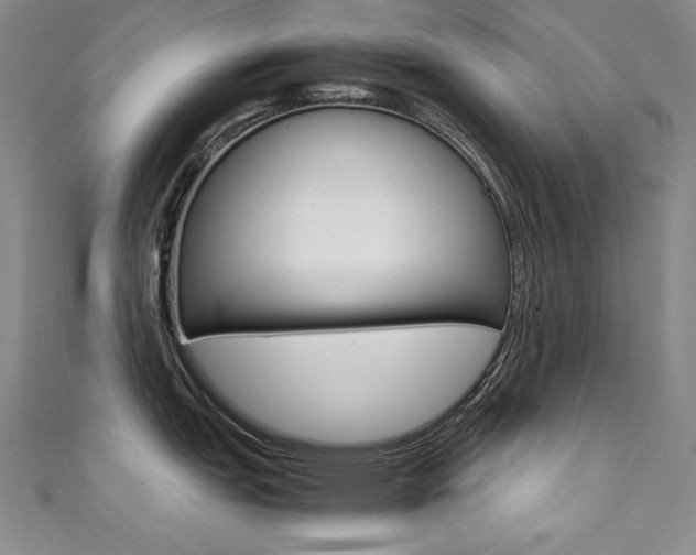 X0000111491151200907141058