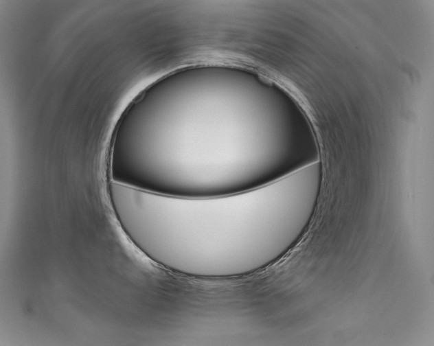 X0000111491152200907141058