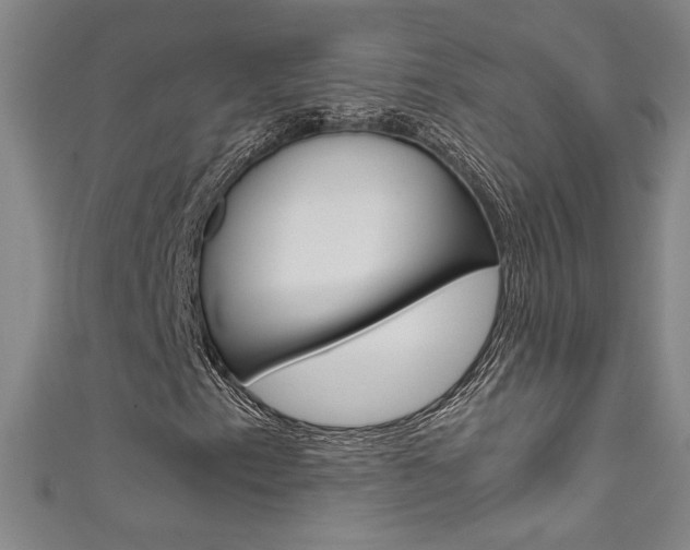 X0000111491153200907141057