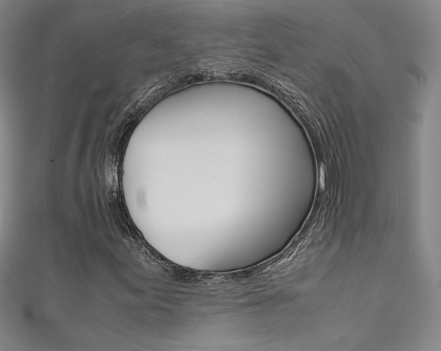X0000111491155200907141057