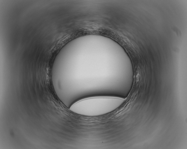 X0000111491156200907141057