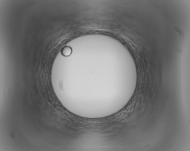 X0000111491157200907141057
