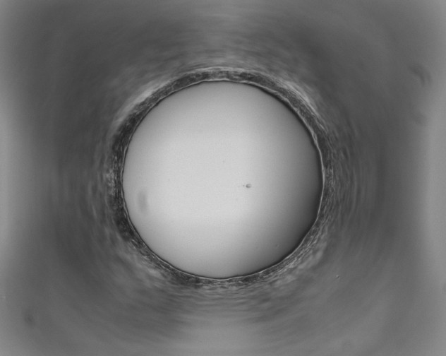 X0000111491159200907141057