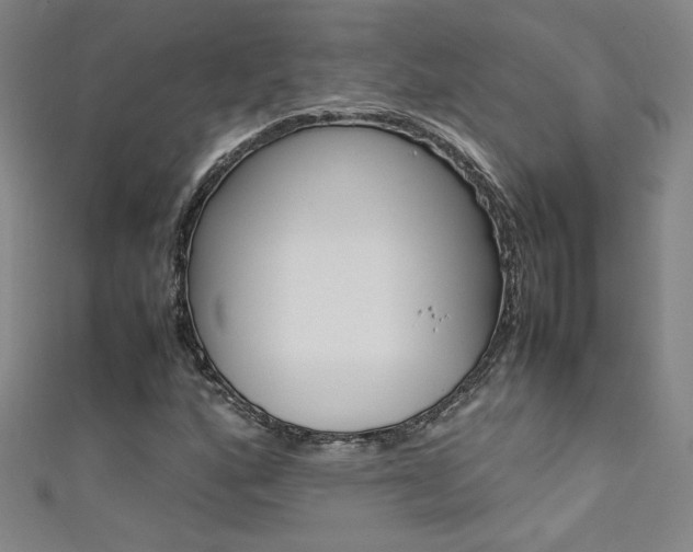 X0000111491160200907141057