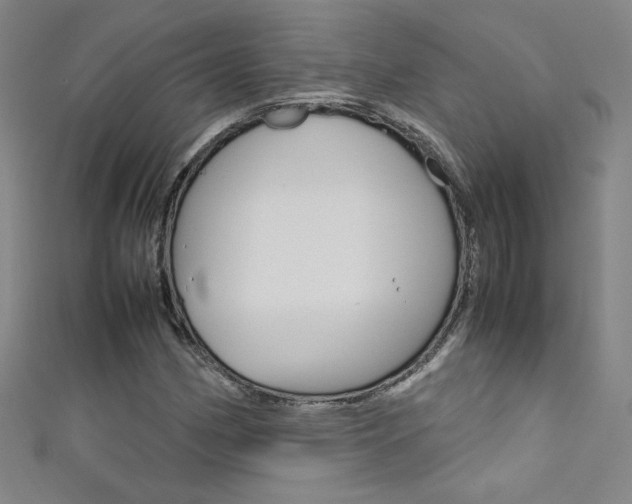X0000111491162200907141057