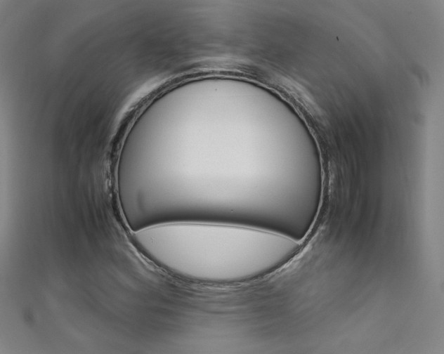 X0000111491164200907141057
