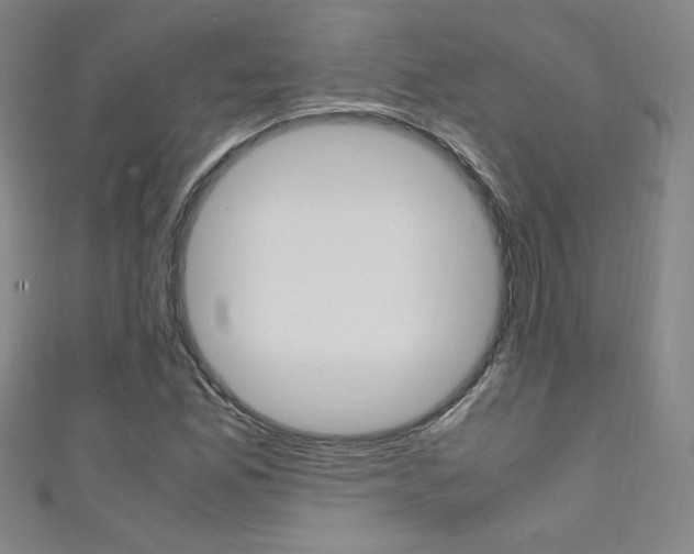 X0000111491165200907141057