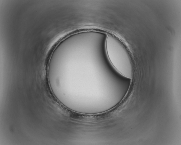X0000111491167200907141057