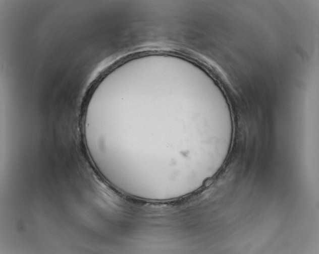 X0000111491168200907141057