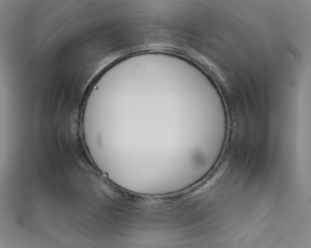 X0000111491170200907141057