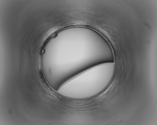 X0000111491171200907141057