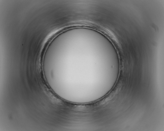 X0000111491172200907141057
